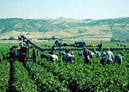 Federal Initiative Augments California Labor Law